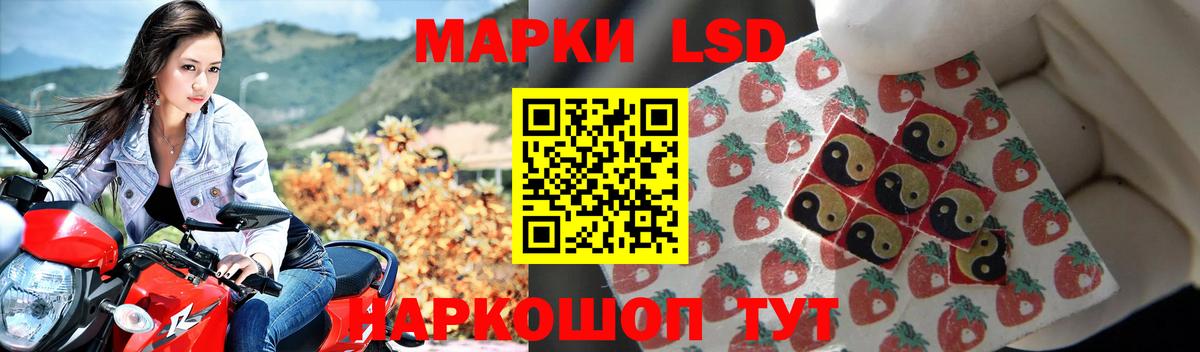 Волгодонск  Лсд 25 экстази кислота  Вход с VPN  ЛСД экстази  LSD-25 экстази кислота 