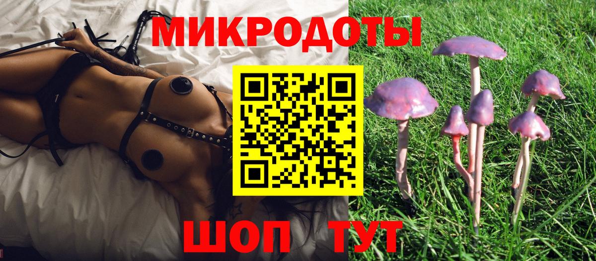 Галлюциногенные грибы прущие грибы  Вход с VPN  Волгодонск 