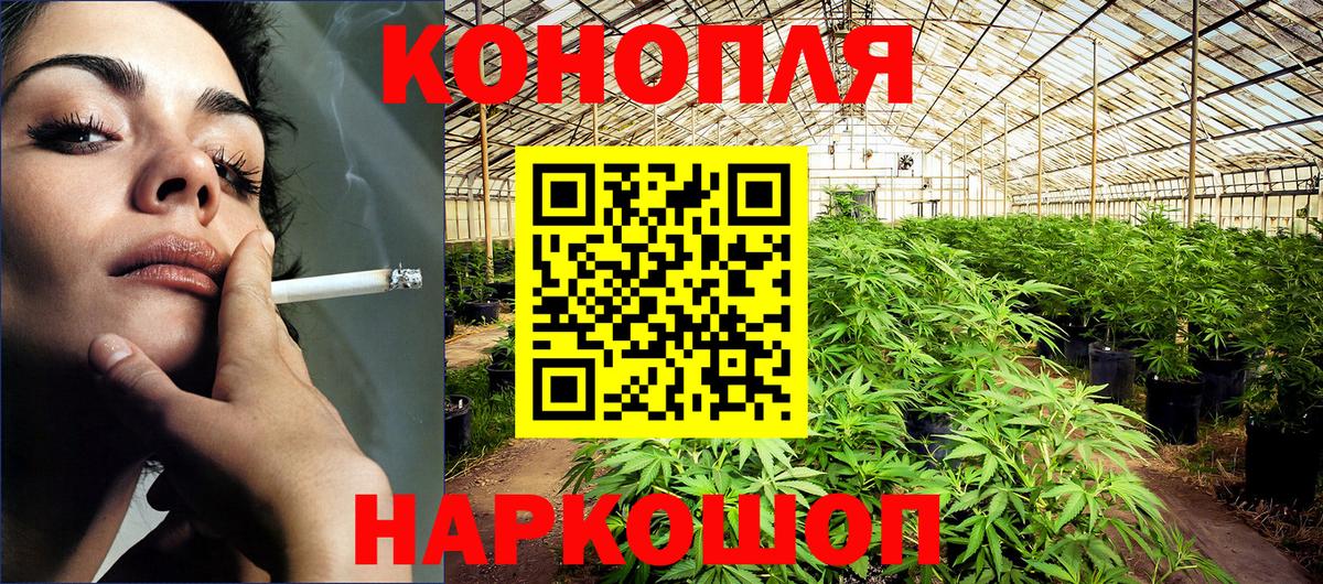 Шишки марихуана VHQ  Каннабис индика  Волгодонск  Вход с VPN  Марихуана Amnesia  Марихуана конопля 